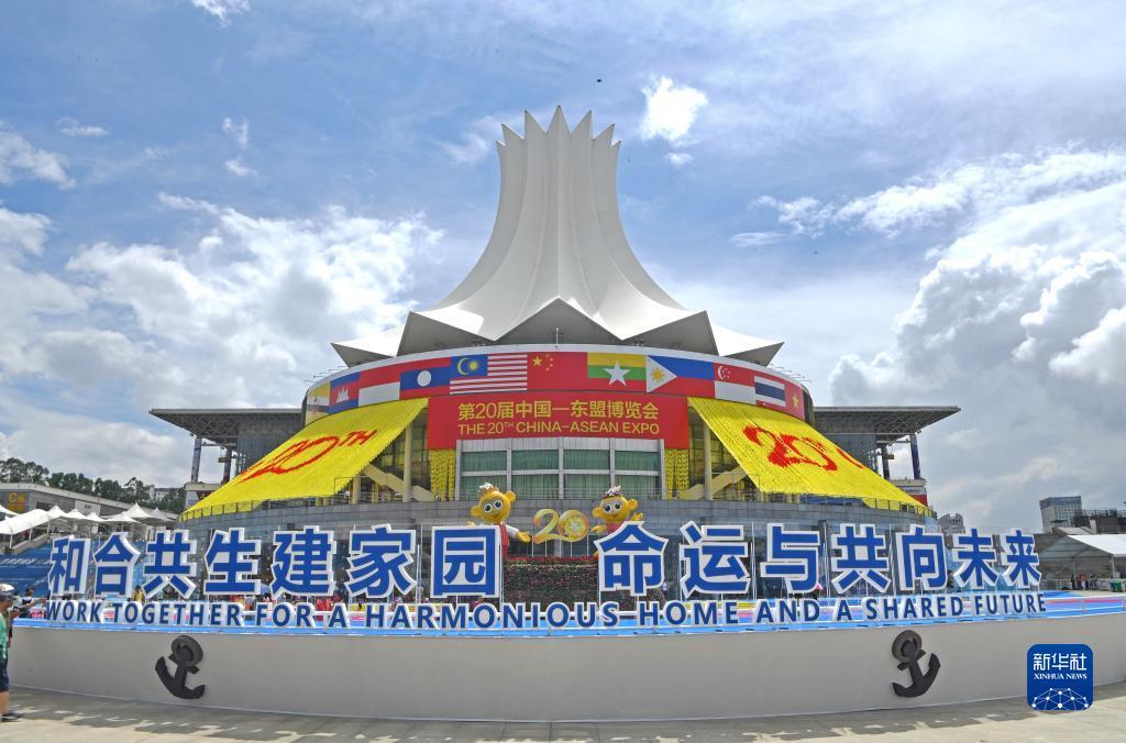 众安棋牌汇